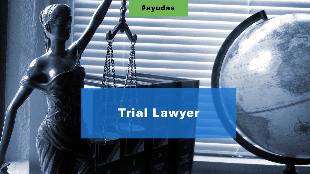 Trial Lawyer