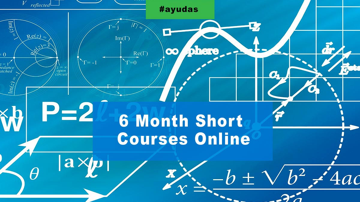 6 Month Short Courses Online