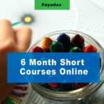 6 Month Short Courses Online
